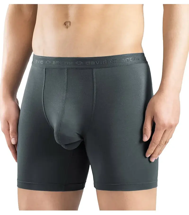 David Archy 3 Pack Mens ชุดชั้นในกางเกงบ็อกเซอร์ Basic MicroModal Soft Breathable Mens Dual Pouch Boxers Quick Dry กีฬาฟิตเนส