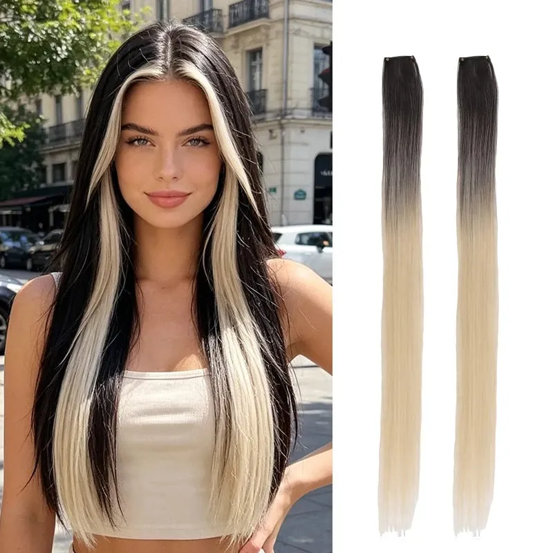 2Pcs Pack Two-Tone Ombre Highlight Clip in Wig Straight Hair Piece Synthetic Fiber Comb for Daily Party Look