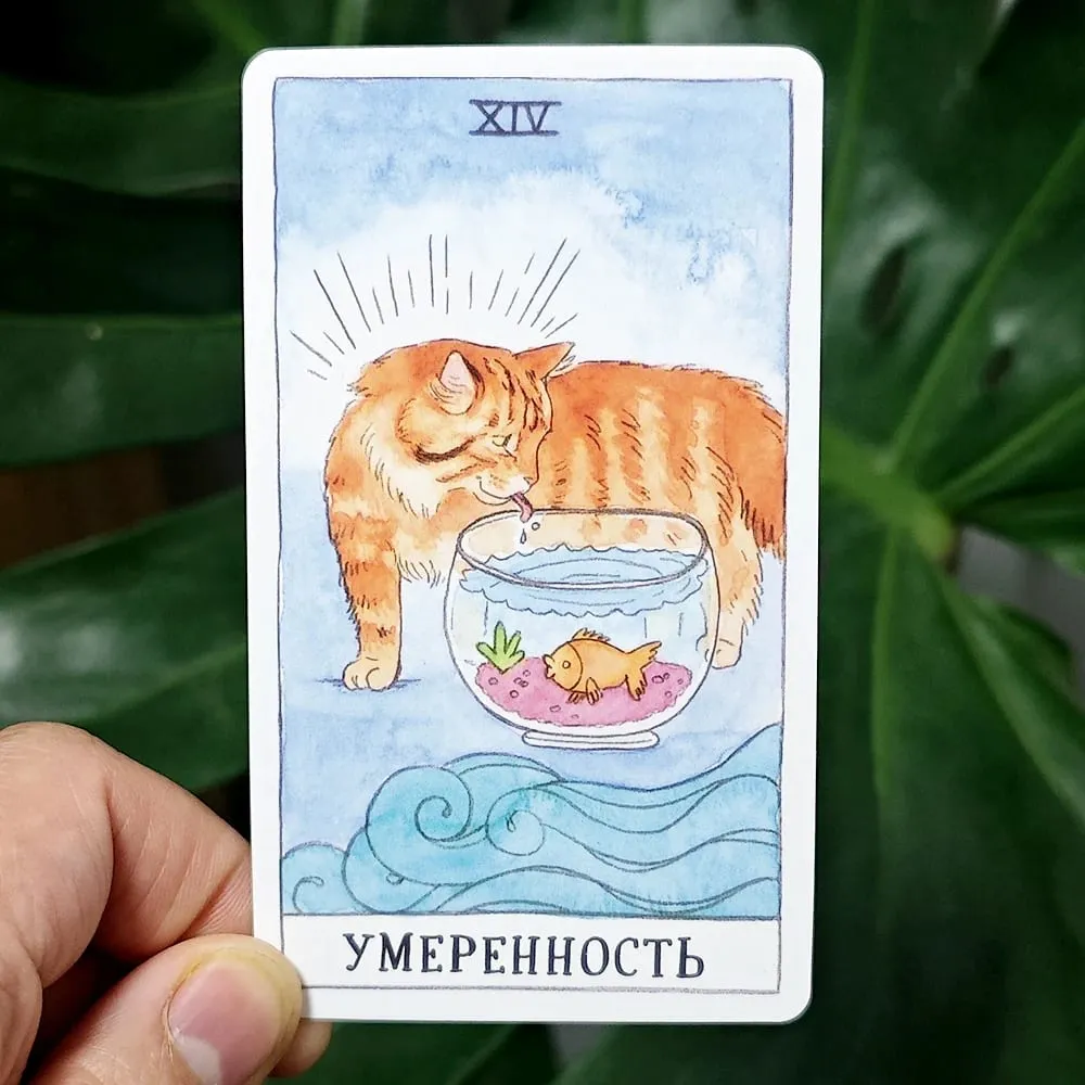 Кошачье Таро на русском языке 10,3*6 см сочетает подлинность с кошачьим чувством юмора 78 шт. Карты Таро на кошачью тематику