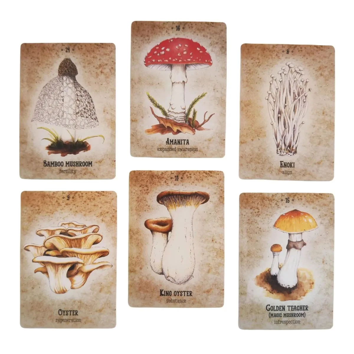 Mushroom Spirit Oracle Cards Board Games