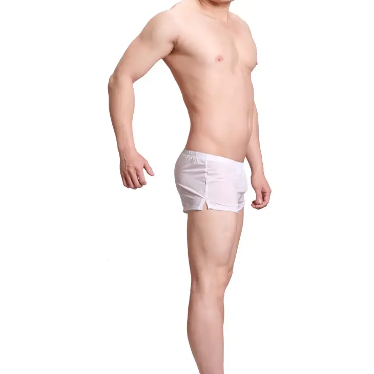 Mens Underwear Ice Silk Boxer Shorts homme Solid Mid-rised U Convex Pouch Underpants Cueca Men's Arrow Pants Plus Size M-XXL