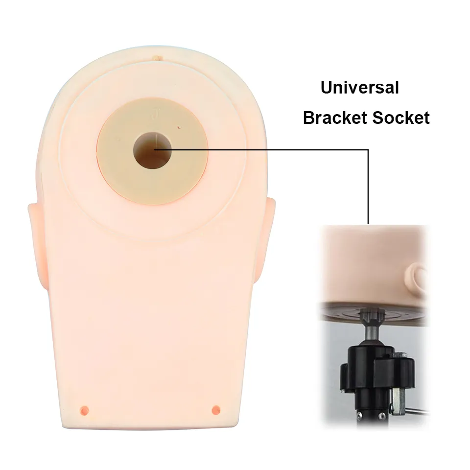 Wholsale Price Practice Lashing Eyelashes Mannequin Head Beginner Training Set Cosmetics Eye Lash Extension Supplies Mannequin
