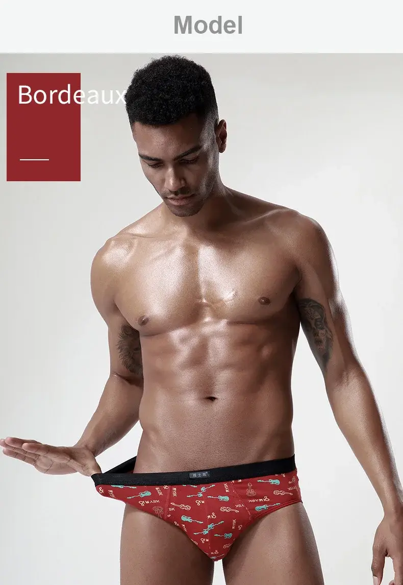 Cotton Man's Underwear Plus Size Briefs Sexy Underpants Breathable Briefs Bikini Gay Print Shorts Cueca Male Panties — image 9