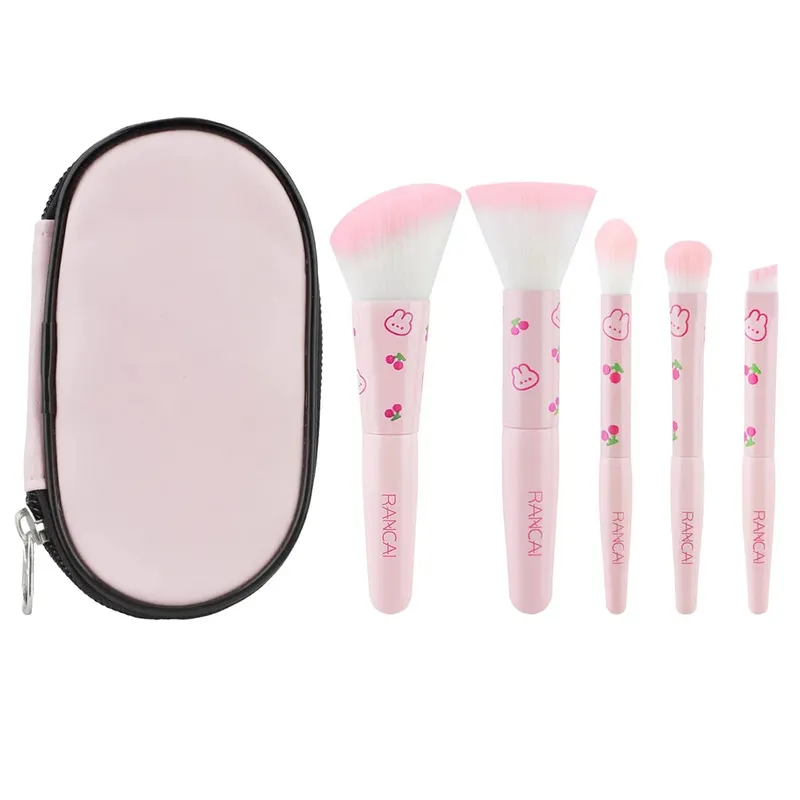5-delige schattige compacte make-upborstelset met etui Premium borstel voor onberispelijke foundation Blush oogschaduwtoepassing Beauty Tools