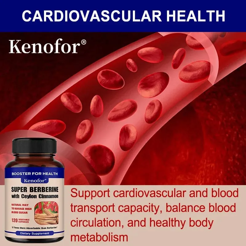 Ceylon cinnamon extract antioxidant improves blood circulation supports cardiovascular health balances blood sugar