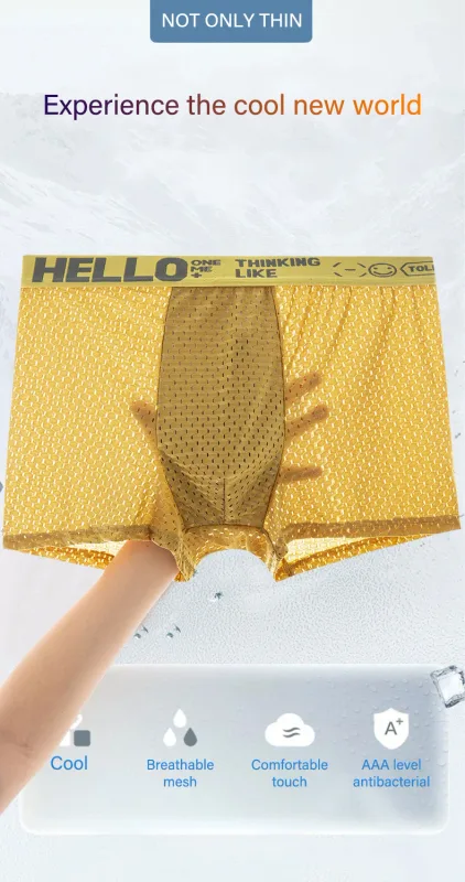 Mens Ice Silk Mesh Underwear Summer Breathable Mesh Cool Boxer Boxer Shorts for Men 45-90KG Anti-bacterial Light Thin Underpants