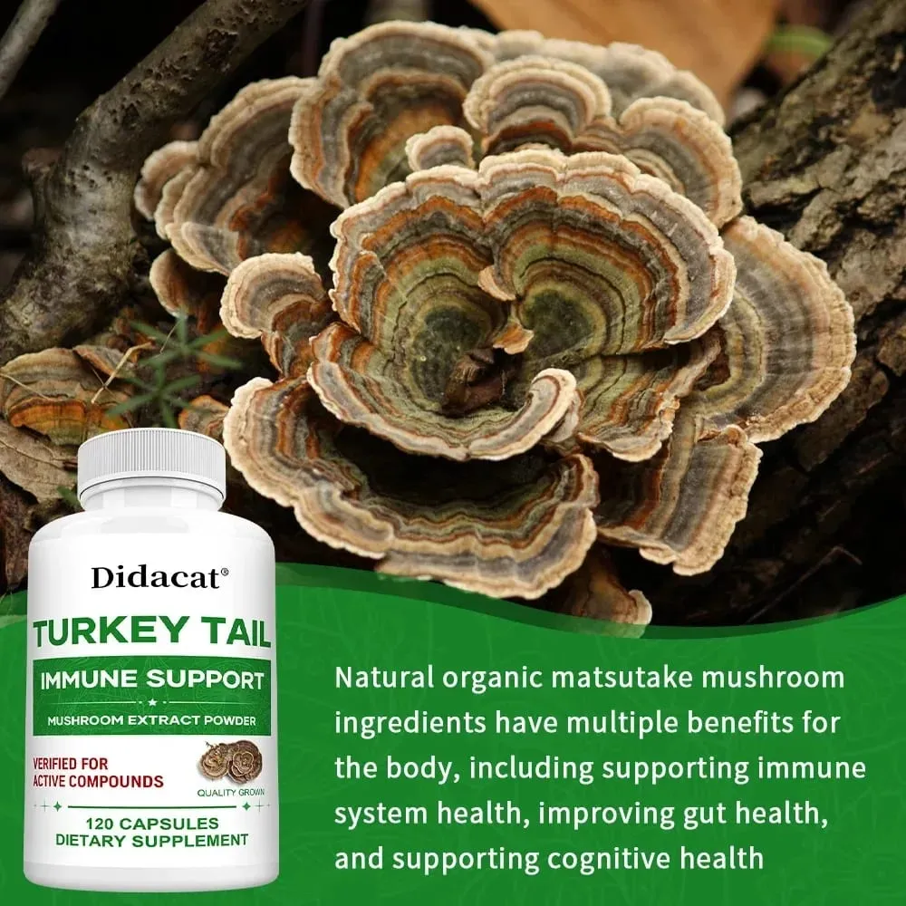 Turkey Tail Mushroom Supplement Boosts The Immune System Promotes Health and Vitality Vegan Non-GMO 120 Capsules