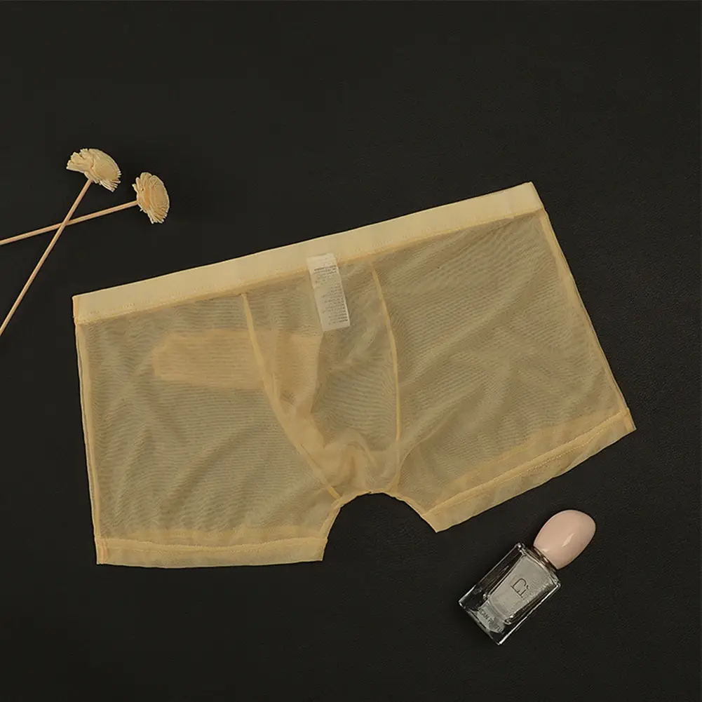 Biancheria intima leggera trasparente da uomo sexy in rete trasparente trasparente con boxer traspiranti, mutandine boxer maschili con separazione di proiettili