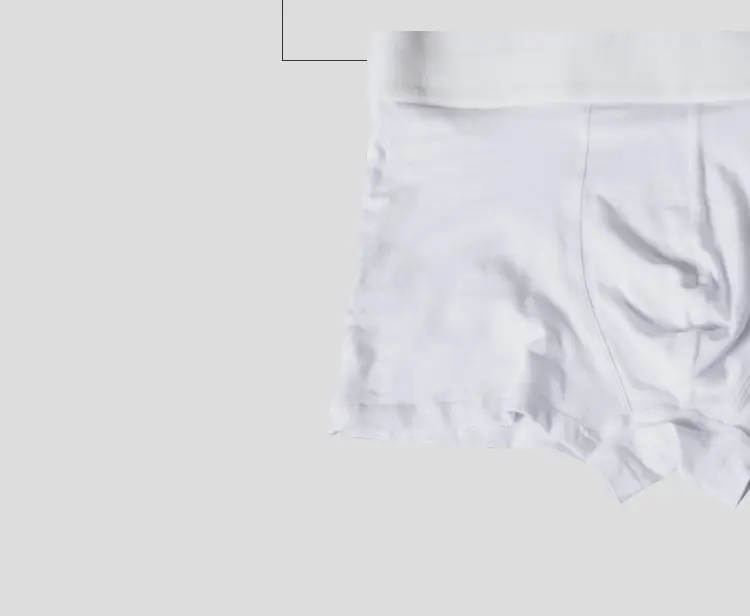4Pcs Man Underpants Boxershorts Cotton Men Boxers Male Breathable Underwear Men's Panties Soft Boxer OR212