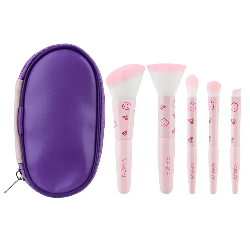 5-delige schattige compacte make-upborstelset met etui Premium borstel voor onberispelijke foundation Blush oogschaduwtoepassing Beauty Tools