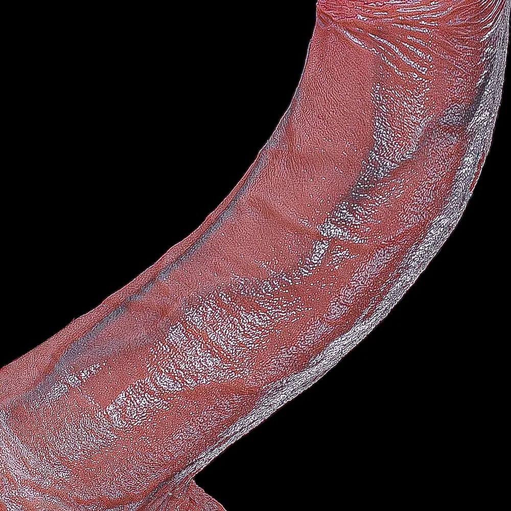 현실적인 항문 새로운 딜도 라구 딜도 Buttplug 전립선 마사지 초보자를위한 흡입 컵 페니스 여성을위한 섹스 토이 Anal Vaginal Masturba — image 1