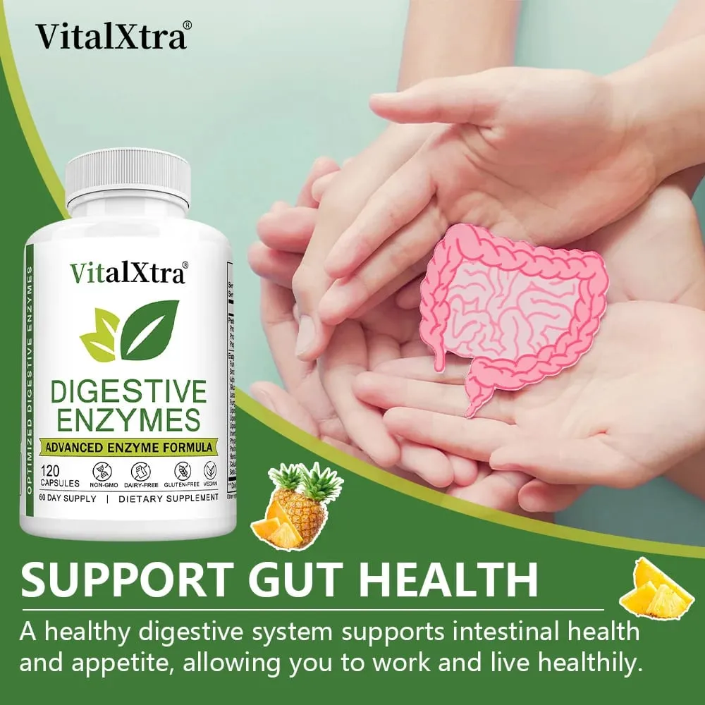 Digestive Enzymes Capsules - Most Essential Digestive Enzymes (Amylase Lipase Bromelain Lactase Cellulase Invertase) — image 6