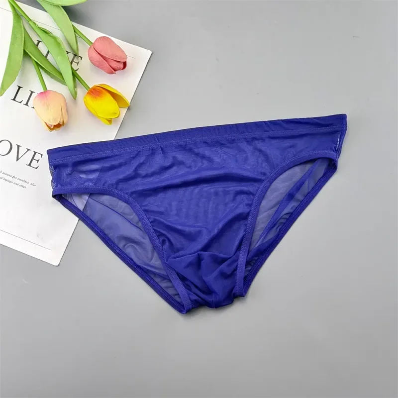 5pcs Transparent Mesh Underwear for Men Ultra-thin Perspective Mid-rise Male Pouch Slips Homme Panties Plus Size
