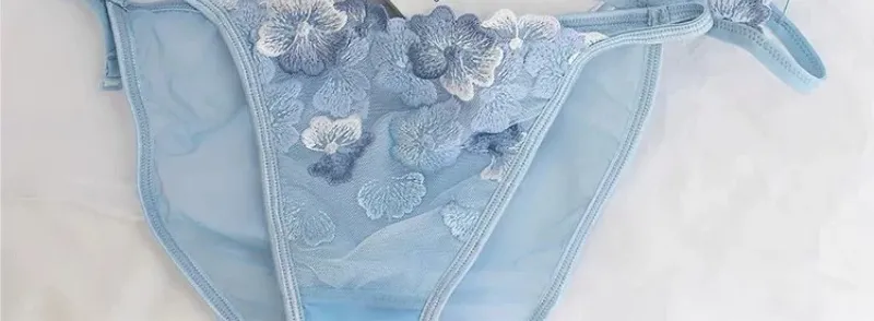 French Triangle Cup Bralette Embroidered Lace Wireless See Through Hollow Out Sexy Pure Desire Lingerie Set MOYISU Sexy Tushy