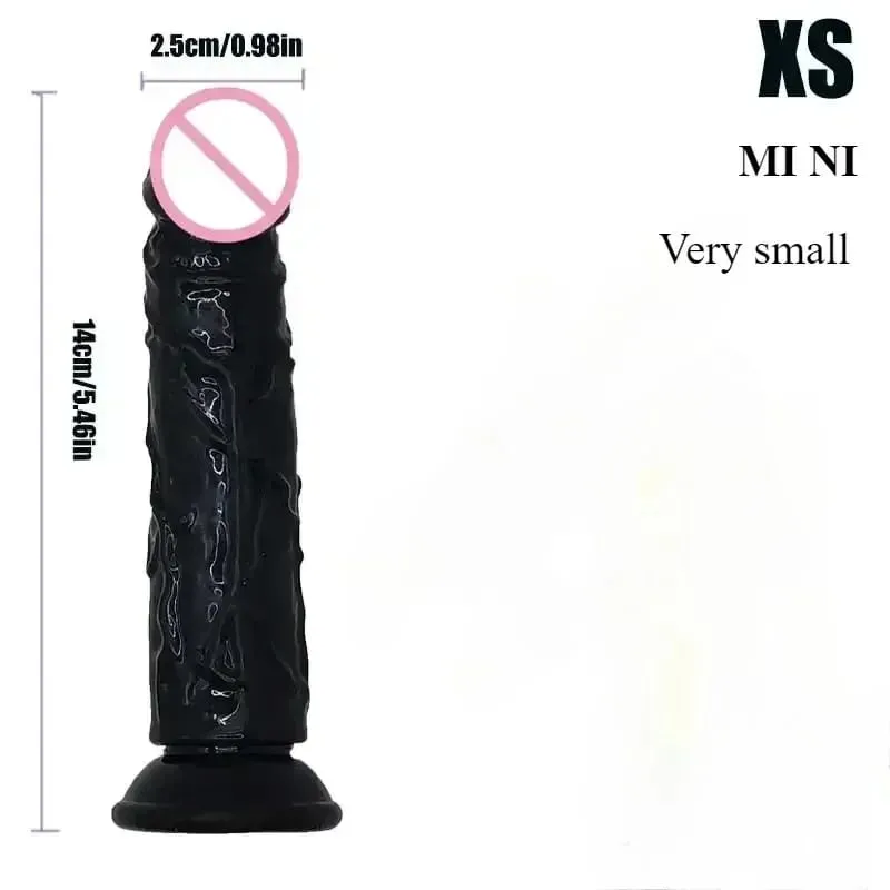 Realistic Black Dildo Cheap 6 Sizes Suction Cup Penis Butt Plug Long Dick G Spot Anal Vagina Masturbator Adult Sex Toy for Woman