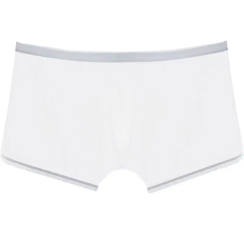 Underwear Transparent Boxers Bulge Ice Silk See Through Underpants Sexy Briefs Low Waist Panties Lingerie Intimates