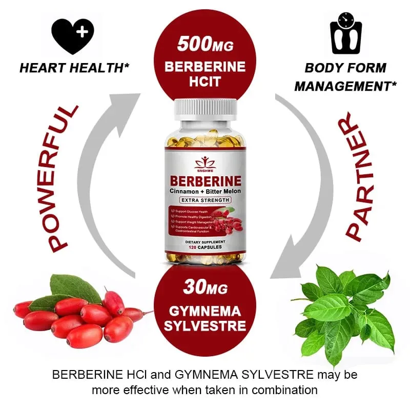 Berberine Supplement High Potency with Ceylon Cinnamon - Immune System Cardiovascular & Gastrointestinal Function - Berberine H