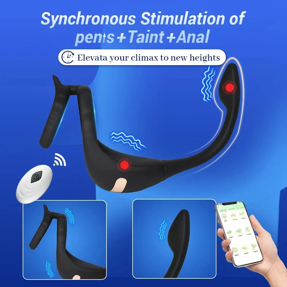 APP Penis Cock Ring Mand Trådløs Fjernbetjening Mand Ejakulationsforsinkelse Stimulator Anal Butt Plug Voksen Sexlegetøj til Mænd Par
