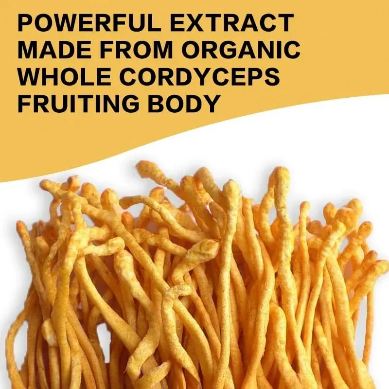 Cordyceps Mushroom Capsules - Boost Energy and Endurance Enhance Memory and Concentration and Relieve StressSupplementsSupplem