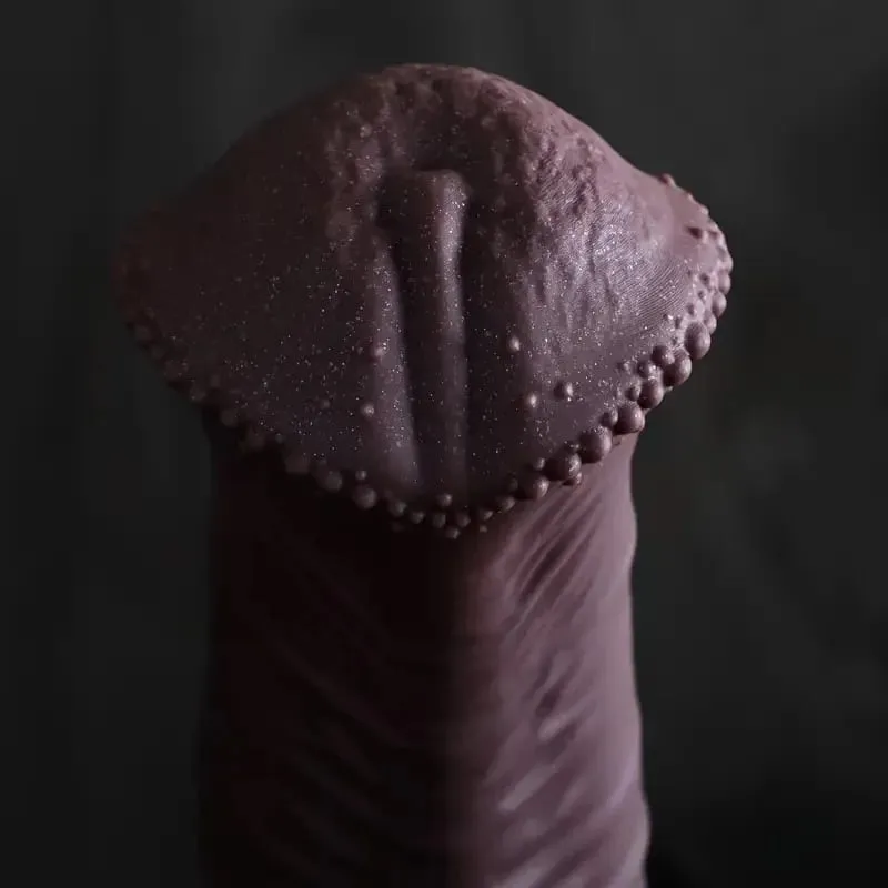 Besar Kuda Dildo Palam Dubur Mainan Seks untuk Lelaki Wanita Silikon Palam Punggung Kuda Zakar Besar S-L Prostat Tukang Urut Pelebaran Dubur 18+