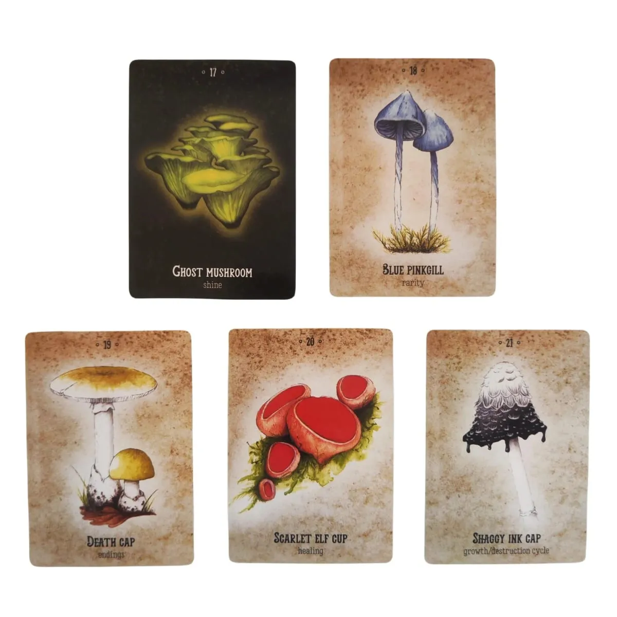Mushroom Spirit Oracle Cards Board Games