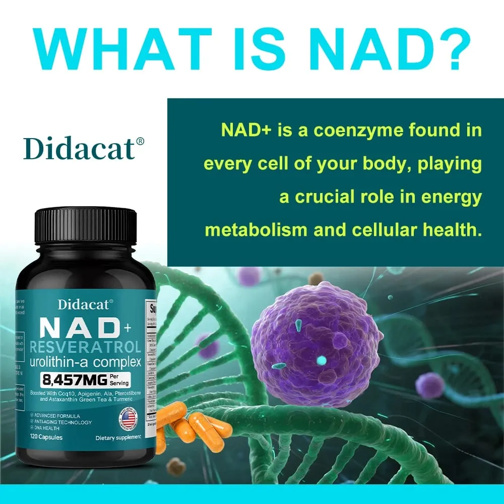 NAD + Resveratrol - Anti-aging Helps Boost Energy Promotes Cell and Skin Health Neuroprotection and Sleep Improvement — image 3