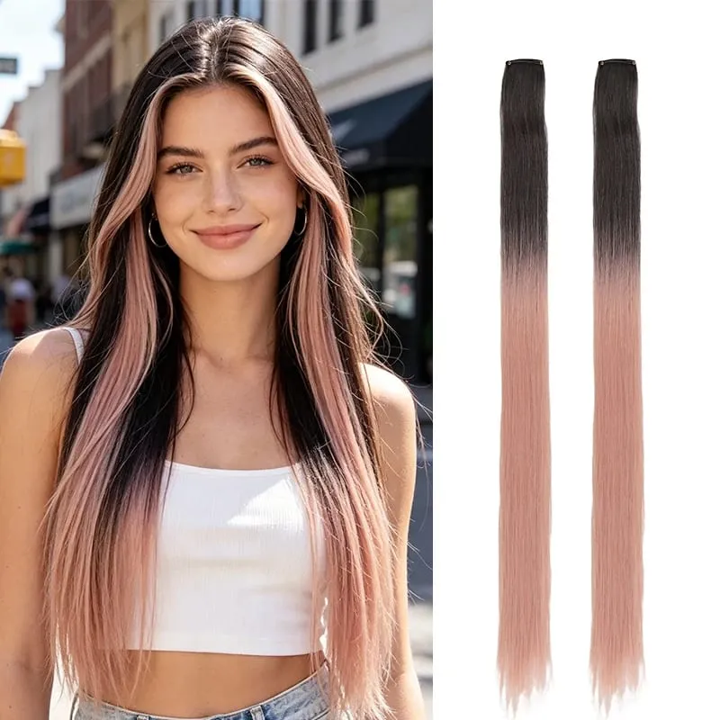 2Pcs Pack Two-Tone Ombre Highlight Clip in Wig Straight Hair Piece Synthetic Fiber Comb for Daily Party Look