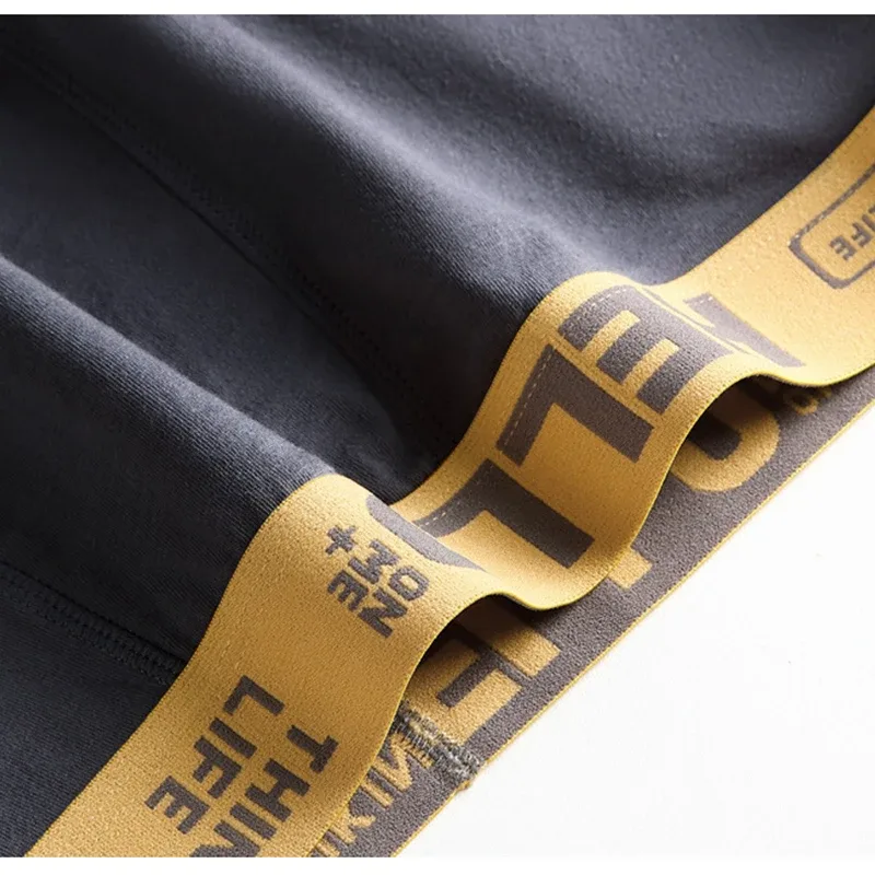 5Pcs Men Underwears Ventilate Men's Briefs Breathable Male Large Size L-5XL Comfortable Solid Underpants Fashion Boy Panties — image 5