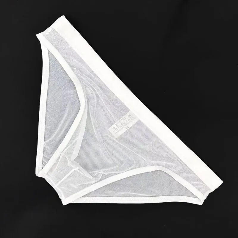 Ultra-thin Sexy Mesh Fully Transparent Men Briefs Panties See Through Underwear Quick Dry Male Underpants Plus Size — image 1