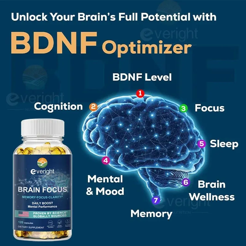 Brain Supplement for Memory Focus Nervous System Energy and IQ Concentration and Cognition Health — image 3