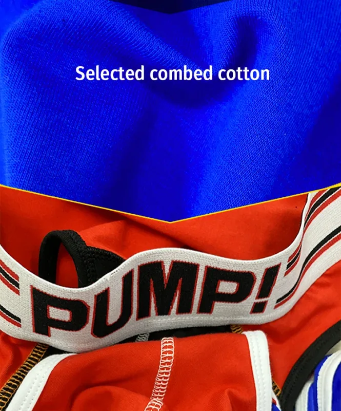 Men's Cotton Color Block Briefs, Pump! Logo Wide Waistband Low Rise Sexy 3D Convex Pouch Underwear