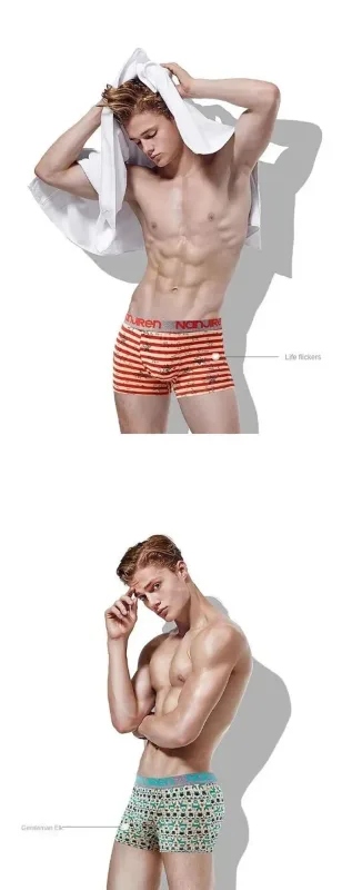 4Pcs Boxer Shorts Men's Underwear Sexy Panties Cotton Boxers Man Underpants Male Shorts Homme U Convex Lingerie Free Shipping