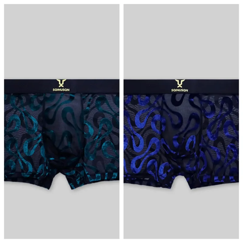 Boxer floqué en maille transparente pour hommes, 2 pièces, avec large ceinture élastique, très extensible, multicolore en option, grande taille, sous-vêtements masculins