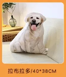 18 Kinds Dog Cat Animal Plush Pillow Both Sides Printing Stuffed Pug Corgi Hound Shar Pei Throw Pillow Sofa Home Decor Men Gift — image 24
