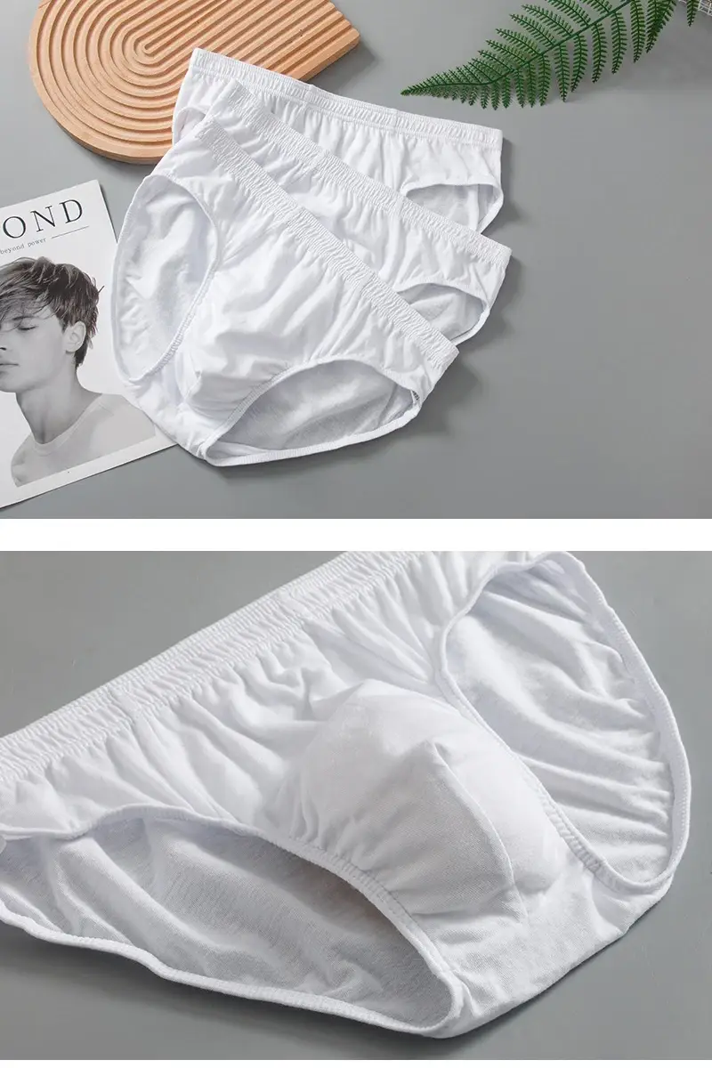 Men's Underwear Pure White Cotton Triangle Briefs Simple Comfort Breathable Underpants