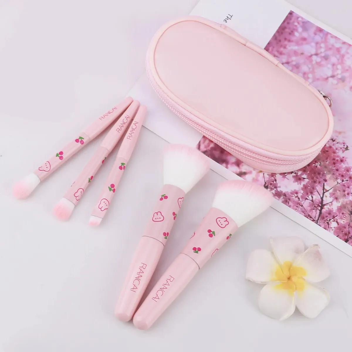 5-delige schattige compacte make-upborstelset met etui Premium borstel voor onberispelijke foundation Blush oogschaduwtoepassing Beauty Tools