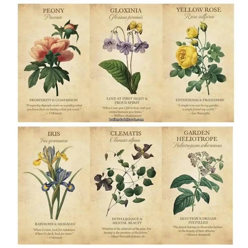 Botanical Inspiration Oracle cards A 45 Deck Tarot English version Board game PDF Guidebook for personal use — image 3