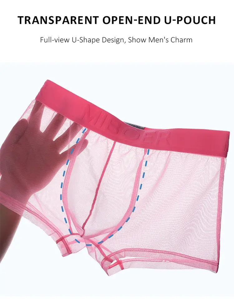 Men's Transparent Full Mesh Boxer Briefs See-Through Underwear Low Rise U-Pouch Breathable Sexy Low-Rise Elastic Waistband — image 6