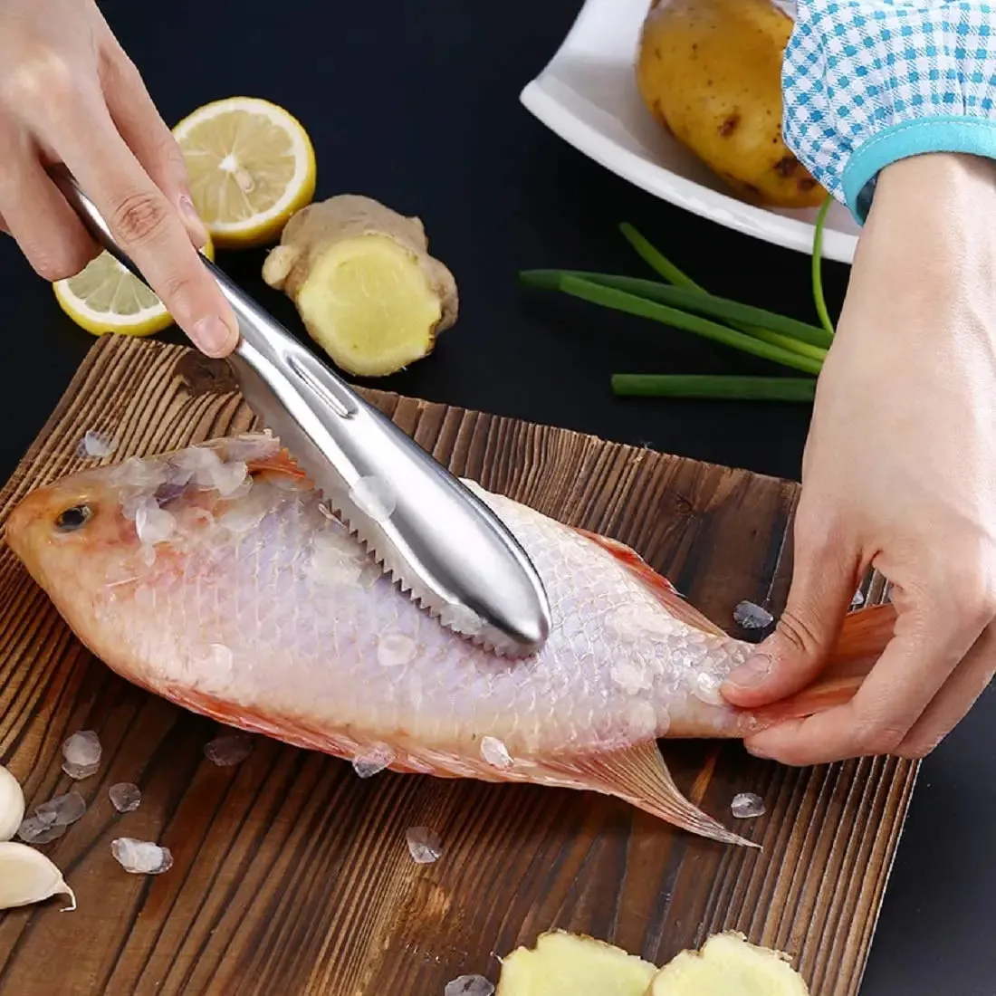Fish Scaler Remover Cleaner With Sawtooth Easily Remove Fish Scales For Home Kitchen Fish Cleaning Seafood Tools Descaler