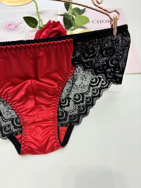 Sexy men underwear elasticity smooth underpants Transparent, breathable, Red lace Men's Briefs