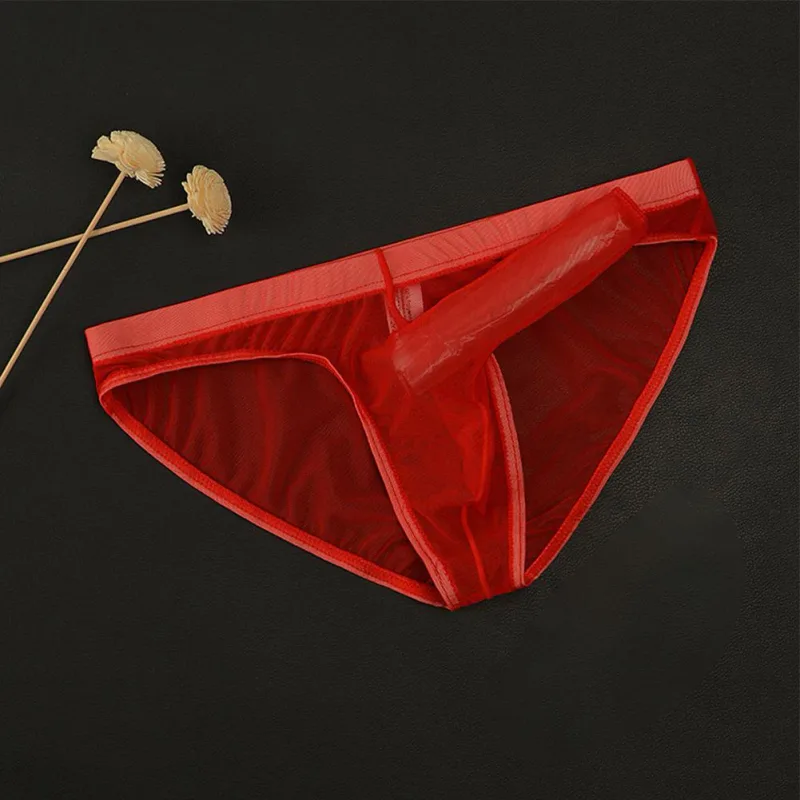 Sous-vêtements en maille transparente avec nez d'éléphant pour hommes, slip fin, léger, à séchage rapide, taille basse, respirant