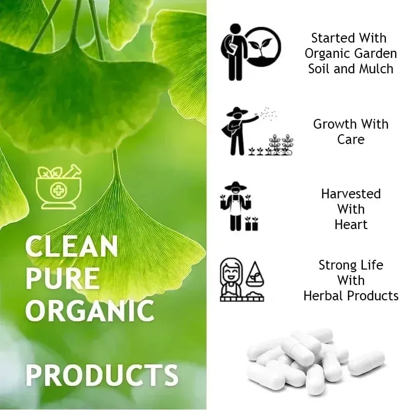 Ginkgo Biloba 5000 mg Extra Strength - Supports Brain Function and Memory Focus Stress Relief 120 Veggie Capsules