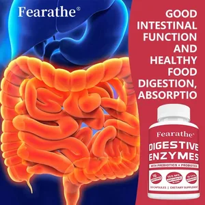 Verdauungsenzymkapseln – mit Probiotika und Präbiotika unterstützen die Darmgesundheit, unterstützen das Immunsystem und fördern die Verdauungsgesundheit
