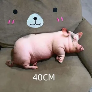 40cm A2
