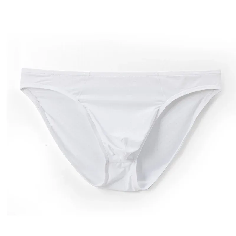 Quick Dry Briefs for Men Sexy Underwear Big U Pouch Mens Briefs Underpants Mesh Breathable Ropa Interior Hombre Slips Cuecas