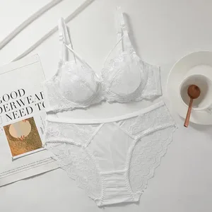 Dames Nieuwe Dunne Kanten Lingerie Set Zachte Beugelbeha Push Up Ondersteuning Buste Minimaliseren Anti Verslapping Zachte Comfort Slijtage 32-42