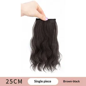 Synthetic Hair Curly Hair 25/35cm Mini Hair Pad Hair Natural Black Brown Hair Extension Clips In Hairpiece For Women Hair Wig