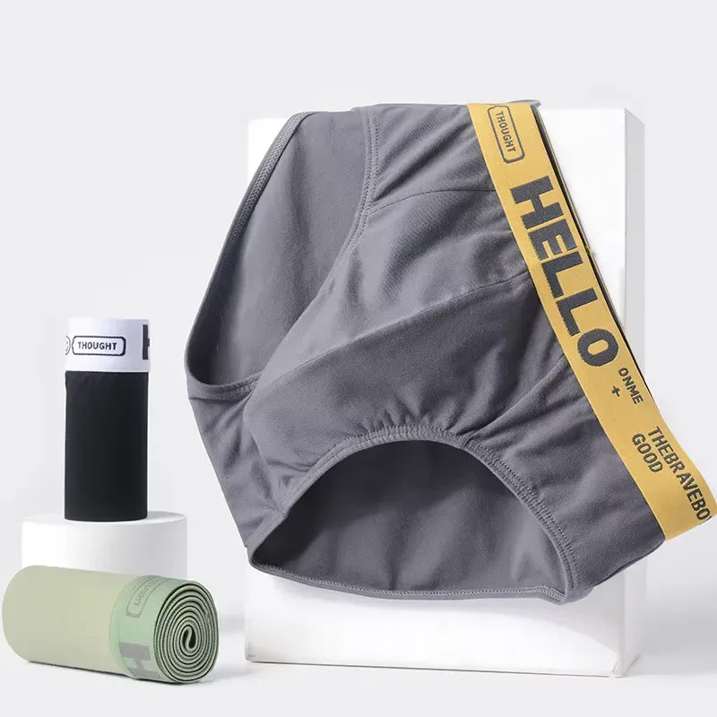 5Pcs/Men's Underwear High-quality Pure Cotton Sexy Triangular Shorts Men's Briefs Breathable Elastic Underpants Large Size L-5XL