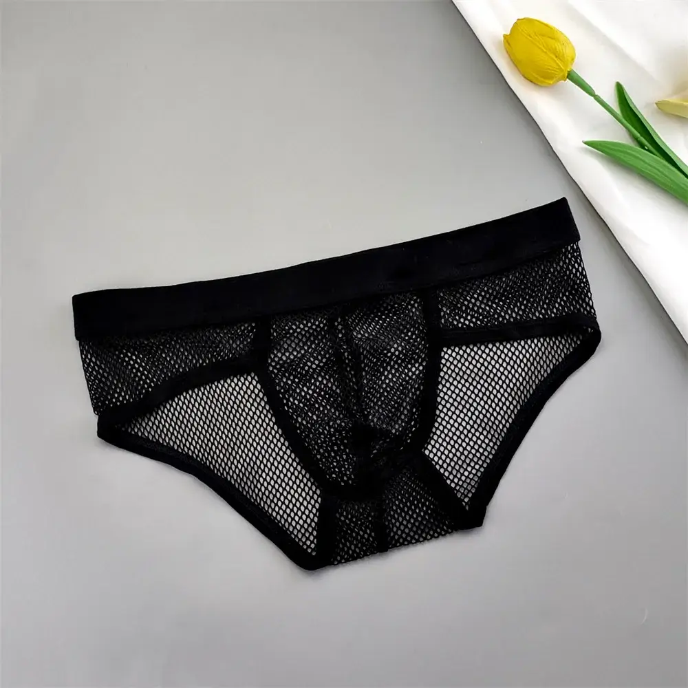 Hollow Out Mesh Men's U Pouch Underwear Low Waist Transparent Bikini Briefs Breathable Panties Plus Size