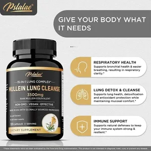 Làm sạch phổi Mullein - Bổ sung hô hấp cho người hút thuốc Viên nang chay - Làm sạch phổi Bổ sung miễn dịch sức khỏe phổi